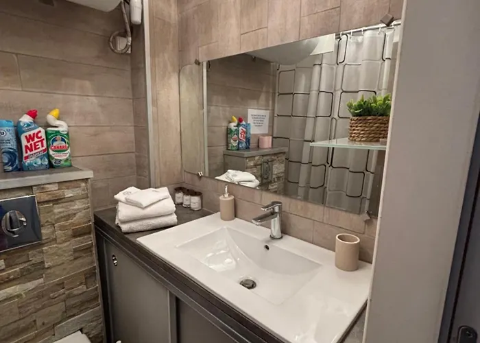 アパート Cosy Climatise Vue Sur Port アグド